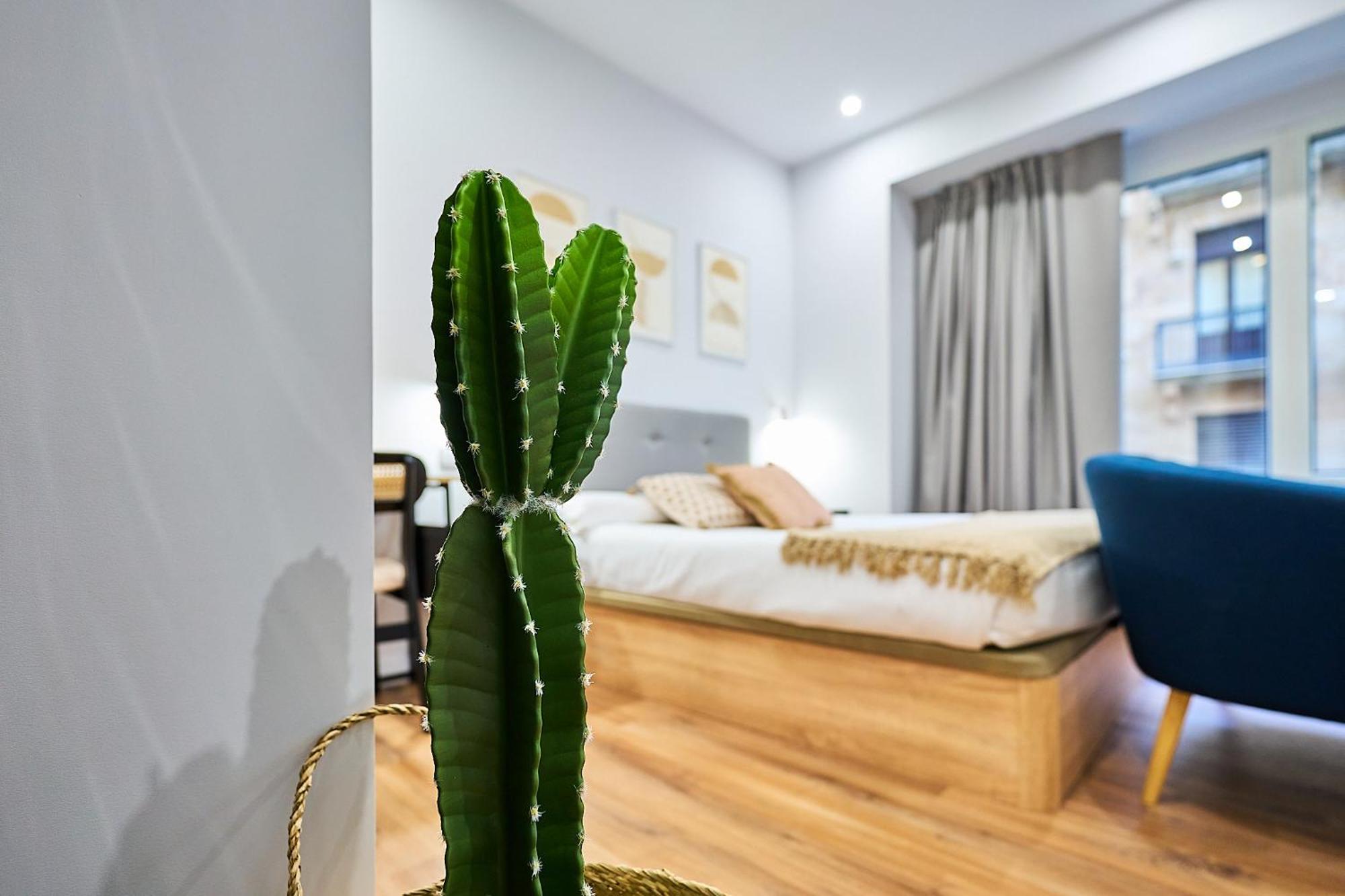 Apartamentos Esperanza By Gaiarooms Salamanka Zewnętrze zdjęcie